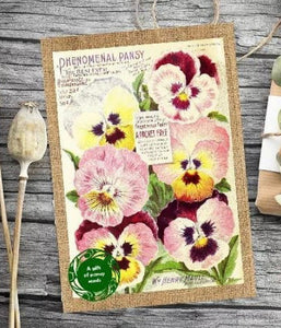 Pansy Gift Card - Seeds with Love